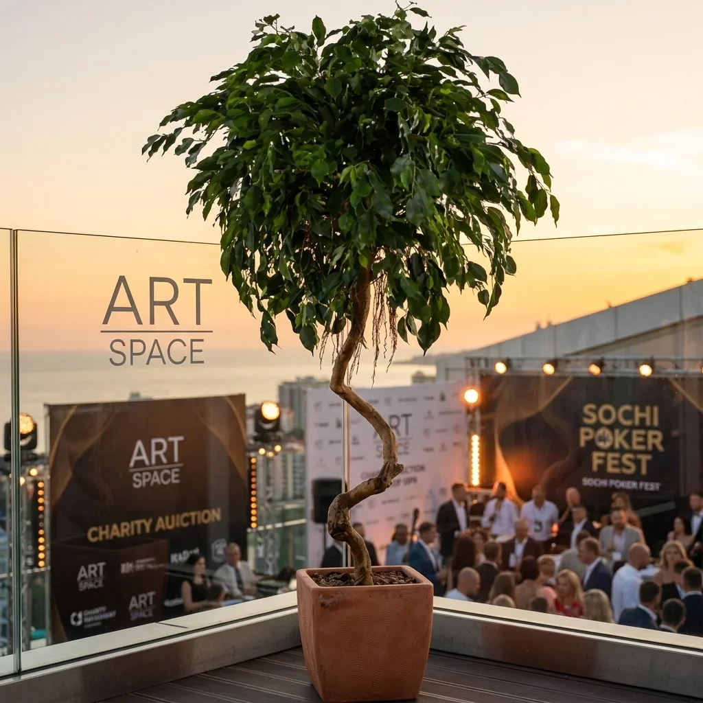 Аренда Искусственный фикус малый Сочи в ART SPACE