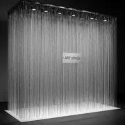 Аренда Фотозона новогодний дождик в Сириус Арене — ART SPACE