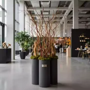 Аренда Декор Необычайный сад в комплексе Sea Galaxy — ART SPACE