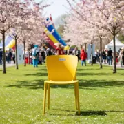 Аренда Кресло пластиковое Mila желтое в парке «Ривьера» — ART SPACE