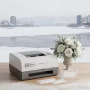 Аренда Принтер этикеток Epson LabelWorks LW400VP Cyrillic 220v на Имеретинской набережной — ART SPACE