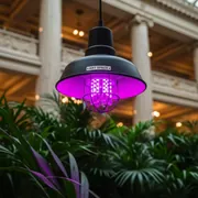Аренда Фитолампа Jazzway 9 Вт E27 LED красно синий спектр в Зимнем театре — ART SPACE