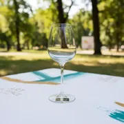 Аренда Рюмка Chef Sommelier 70 мл в парке «Ривьера» — ART SPACE