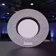 Аренда Тарелка подстановочная Коралл серебряная 32 см в Radisson Blu Resort & Congress Centre — ART SPACE