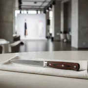 Аренда Нож для стейка с деревянной ручкой Kult 210 мм в ресторане «Баран-Рапан» — ART SPACE