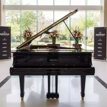 Аренда Пианино живое в Sport Inn Hotel & Wellness — ART SPACE