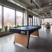 Аренда Флипбол в Gamma Sirius — ART SPACE