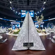 Аренда Салфетка банкетная Розабелла серебро на арене «Фишт» — ART SPACE