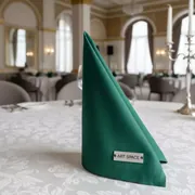 Аренда Салфетка зеленая профессиональная в Imeretinskiy Hotel — ART SPACE