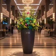 Аренда Кашпо для цветов Prosperplast Rato Tubus 15,5 7,5 л венге в Mercure Сочи Центр — ART SPACE