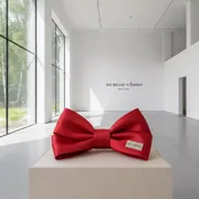 Аренда Бант атласный красный на вилле «Анна» — ART SPACE
