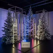 Аренда Фотозона новогодняя "Сибирский лес" в Radisson Collection Paradise — ART SPACE