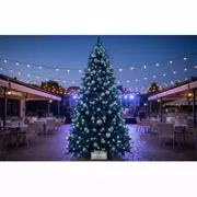 Аренда Елка искусственная Royal Christmas Montana Slim Premium PP PVC 195 см в ресторане «La Terrazza» — ART SPACE