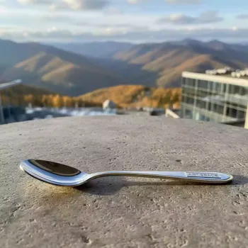 Аренда Ложка закусочная Anser серебро Gold кант на площадке Rosa Peak (2320м) — ART SPACE