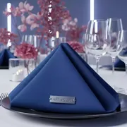 Аренда Салфетка синяя профессиональная в Grand Karat Sochi — ART SPACE