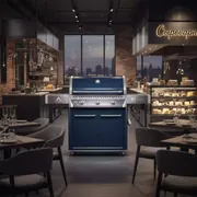 Аренда Гриль газовый AESTO с 3 горелками 11101 в ресторане «Сыроварня» — ART SPACE