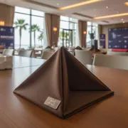Аренда Салфетка коричневая 45х45 см R4E 00364 в отеле Hyatt Regency Sochi — ART SPACE
