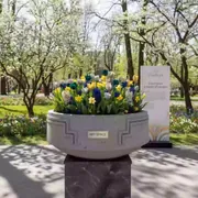 Аренда Кашпо для цветов Prosperplast Beton Bowl бетон 3,9 л в парке «Ривьера» — ART SPACE