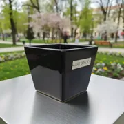 Аренда Емкость для соуса глубокая квадратная 50 мл 55 мм в парке «Ривьера» — ART SPACE