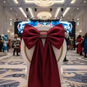 Аренда Бант атласный бордовый в отеле Hyatt Regency Sochi — ART SPACE
