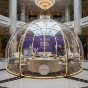 Аренда Шатер сферический купол 6 м в отеле Radisson Lazurnaya — ART SPACE