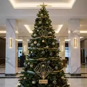 Аренда Елка искусственная 500 см в Sport Inn Hotel & Wellness — ART SPACE