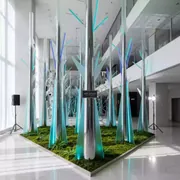 Аренда Фотозона сибирский лес в Pullman Sochi Centre — ART SPACE