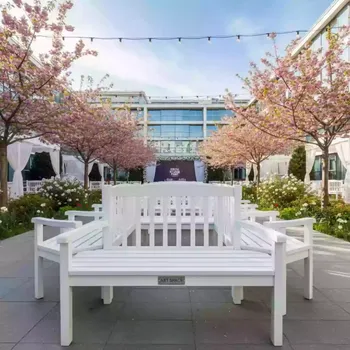 Аренда Скамейки деревянные белые в Mercure Сочи Центр — ART SPACE