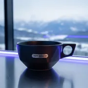 Аренда Салатник фигурный чёрный с ручкой D 113 мм V 490 мл в Radisson Hotel Rosa Khutor — ART SPACE