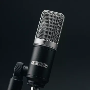 Аренда Микрофон Audix ADX 51 в Маринс Парк Отеле — ART SPACE