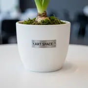 Аренда Кашпо White 13 см в Bridge Resort — ART SPACE