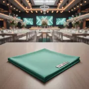 Аренда Салфетка банкетная Хлопок нежная мята в VK Stadium Sirius — ART SPACE