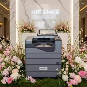 Аренда Ризограф дупликатор Ricoh DD 5450 в пляжном комплексе VinoGrad — ART SPACE
