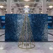 Аренда Фотозона из пайеток с елкой и звездой в конгресс-холле отеля Жемчужина — ART SPACE