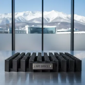 Аренда Гребенки Surebind 10 штырьковые черные в Гранд Отель Сочи — ART SPACE