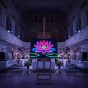 Аренда Мастер класс "Неоновый лотос" в Зале органной и камерной музыки — ART SPACE