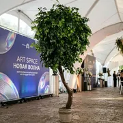 Аренда искусственного фикуса в Сочи от ART SPACE