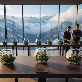 Аренда Флорариум мастер класс в Skypark Sochi — ART SPACE