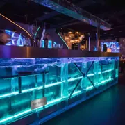 Аренда Стойка барная ледяная в ресторане «Паруса» — ART SPACE