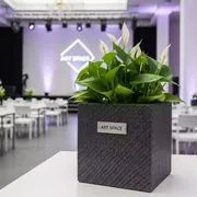 Аренда Кашпо для цветов Prosperplast Rato Low 15.8 антрацит 11 л в Radisson Collection Paradise — ART SPACE