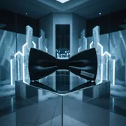 Аренда Бабочка официанта черная R4E 0066 в комплексе Sea Galaxy — ART SPACE