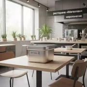 Аренда Гастроемкость GN 1 530х325х150 мм в ресторане «Магеллан» — ART SPACE
