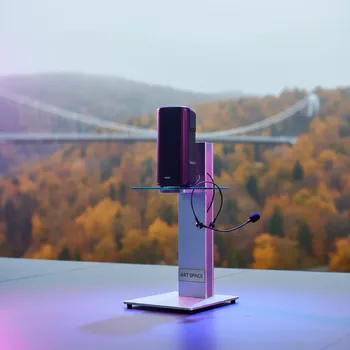Аренда Система микрофон и колонка беспроводная AverMedia AW330 в Skypark Sochi — ART SPACE