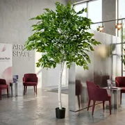 Аренда искусственной березы в Сочи — ART SPACE