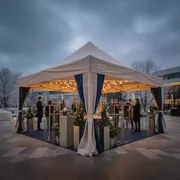 Аренда Тент садовый Green Glade 3054 4х4х3,12 м полиэстер в Сочи Парк Отеле — ART SPACE