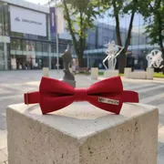 Аренда Бабочка официанта красная в парке «Ривьера» — ART SPACE
