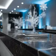 Аренда Щипцы для льда в отеле Hyatt Regency Sochi — ART SPACE