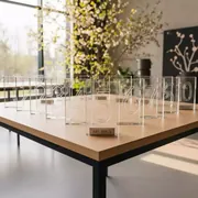 Аренда Номеров для столов прозрачные в Karat Resort — ART SPACE