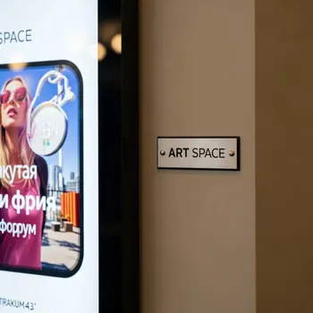 Аренда Панель Outdoor Digital Signage 43 BOE OF43A в ресторане «Плакучая Ива» — ART SPACE