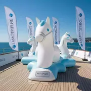 Аренда Поло надувное с конями на VIP теплоходе (Морпорт Сочи) — ART SPACE